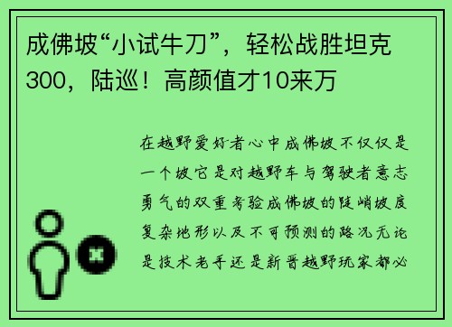 成佛坡“小试牛刀”，轻松战胜坦克300，陆巡！高颜值才10来万